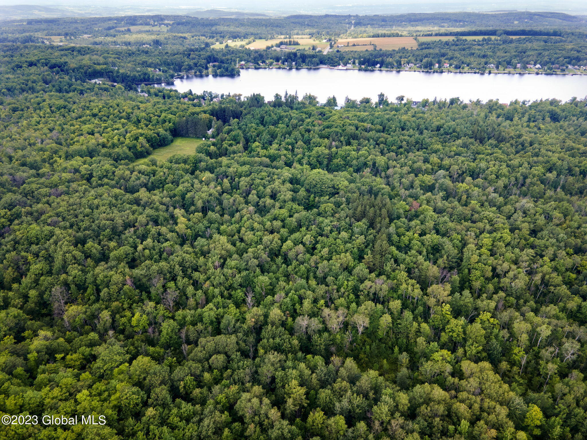 Lot 4-5 South Shore Road Delanson, NY 12053 - Photo 52 of 54 52-web-or-mls-677 Batter St_51
