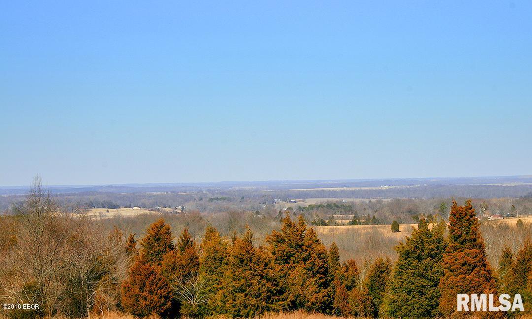 1210 Winkleman Road Harrisburg, IL 62946 - Photo 34 of 42 Gallery Image 34
