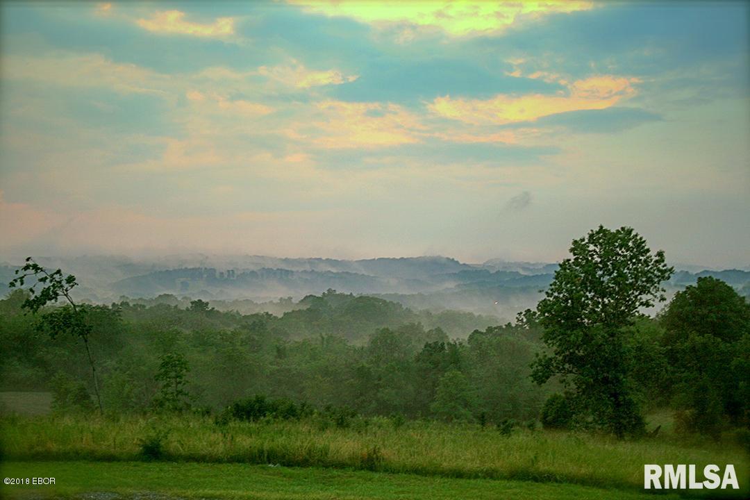 1210 Winkleman Road Harrisburg, IL 62946 - Photo 36 of 42 Gallery Image 36