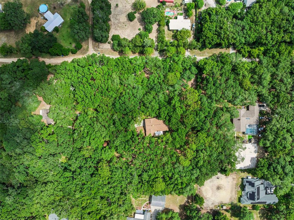 17056 Red Bird Road Winter Garden, FL 34787 - Photo 27 of 35