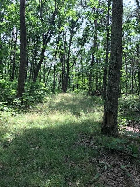 12 Roth Point Road Altamont, TN 37301 - Photo 3 of 5 Gallery Image 3