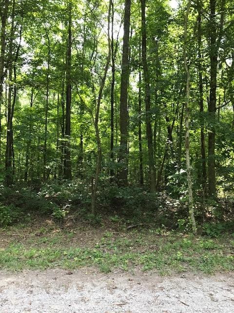 12 Roth Point Road Altamont, TN 37301 - Photo 5 of 5 Gallery Image 5