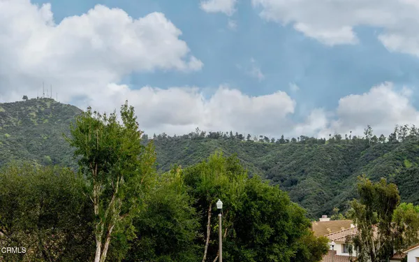 a view of a city with lush green forest