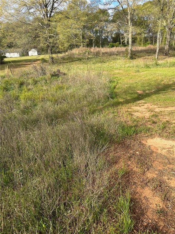 1001 Laboon Road Monroe, GA 30655 - Photo 4 of 8