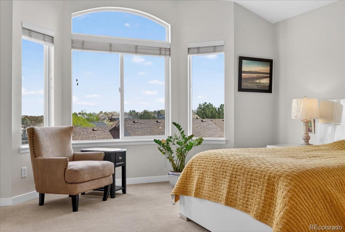 9477 Burgundy Circle Highlands Ranch, CO 80126 - Photo 26 of 50 a bedroom with a bed and a potted plant