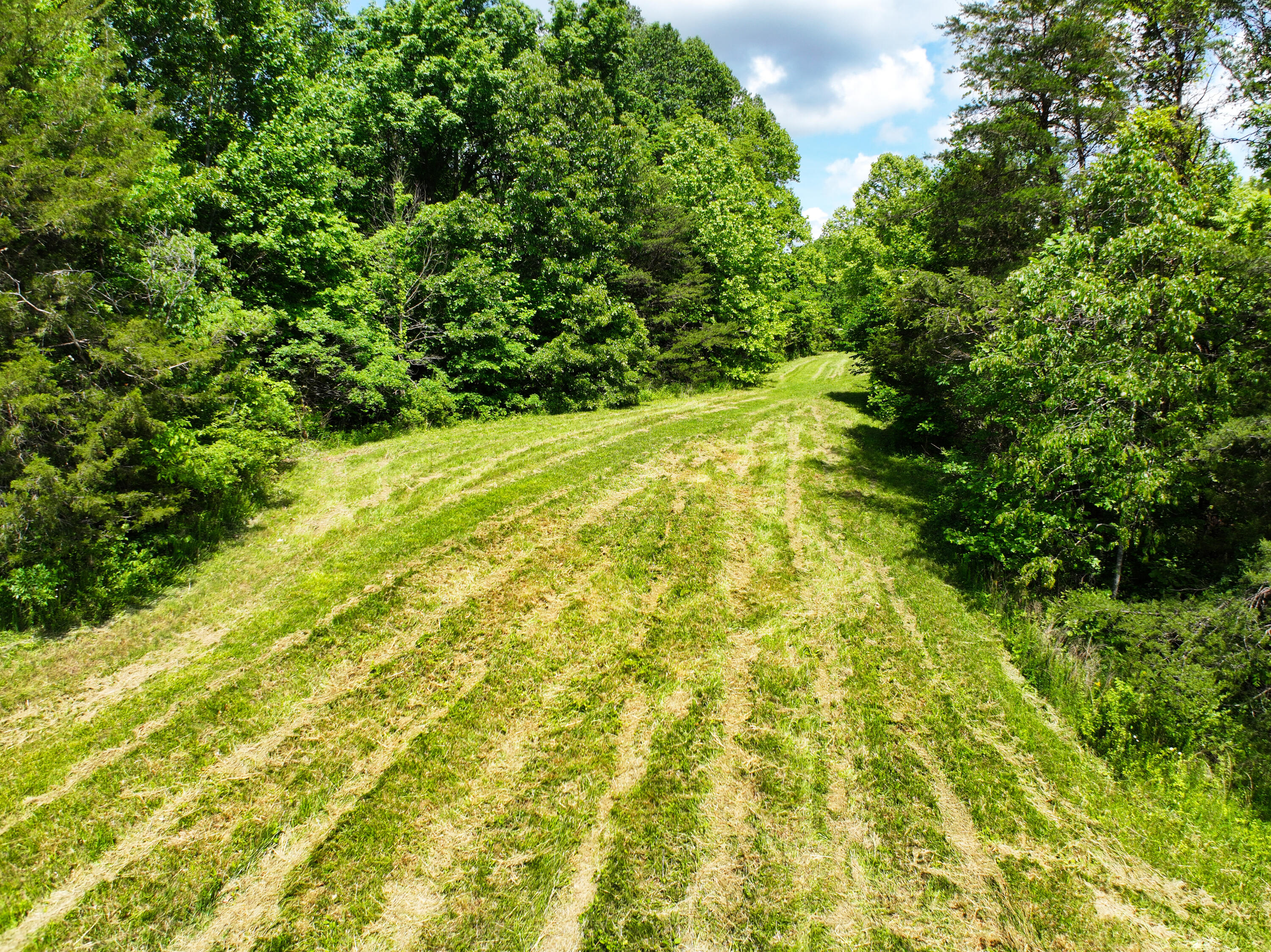 382 Opossum Run Road Irvine, KY 40336 - Photo 69 of 75 Honey hole!