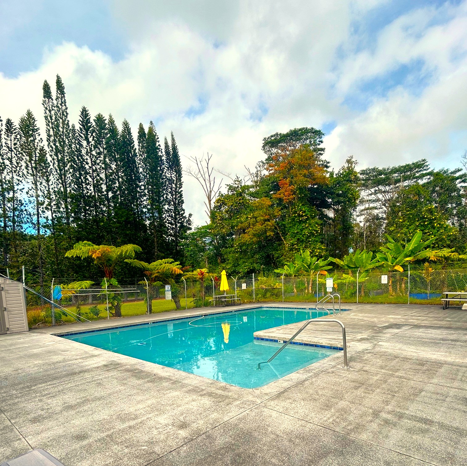 504 Ginger Road Pahoa, HI 96778 - Photo 4 of 4 a view of swimming pool with a yard and trees in the background