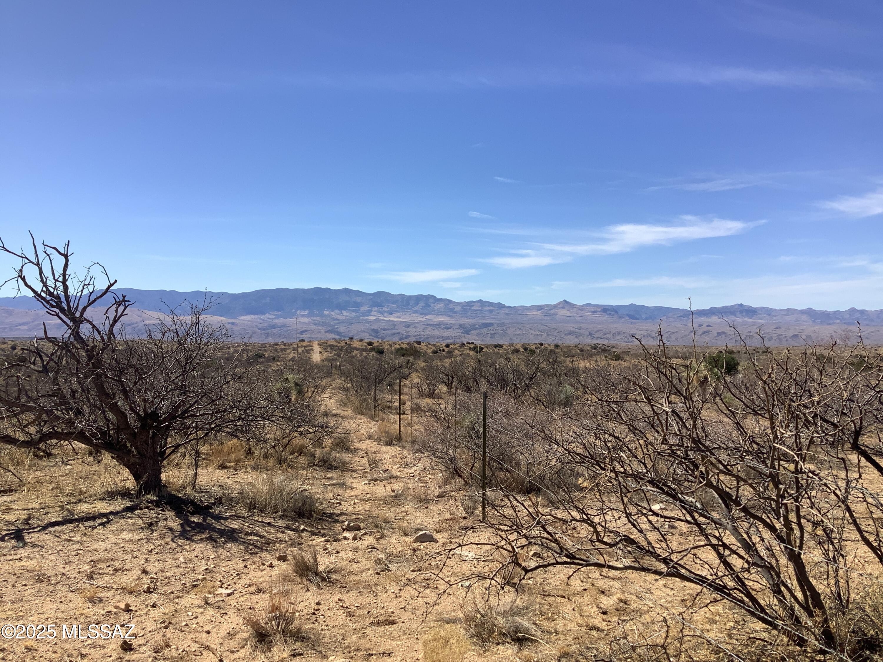 37.21-ac West Sheepwash Road, Unit 254 Willcox, AZ 85643 - Photo 26 of 37