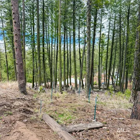 $360,000 | 1309 Laurel Drive, Cascade, ID 83611