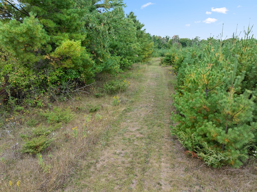 12462 Timberline Road Ellison Bay, WI 54210 - Photo 61 of 66