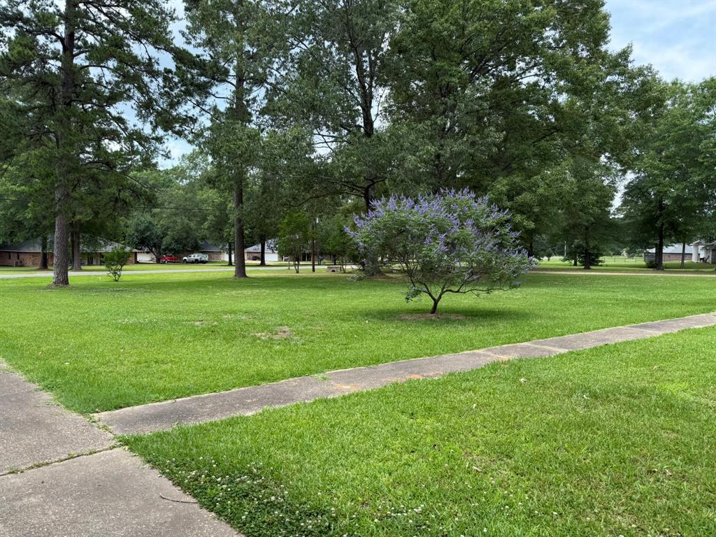 11535 Timber Ridge Drive Keithville, LA 71047 - Photo 30 of 39 a yard with lots of green space and trees