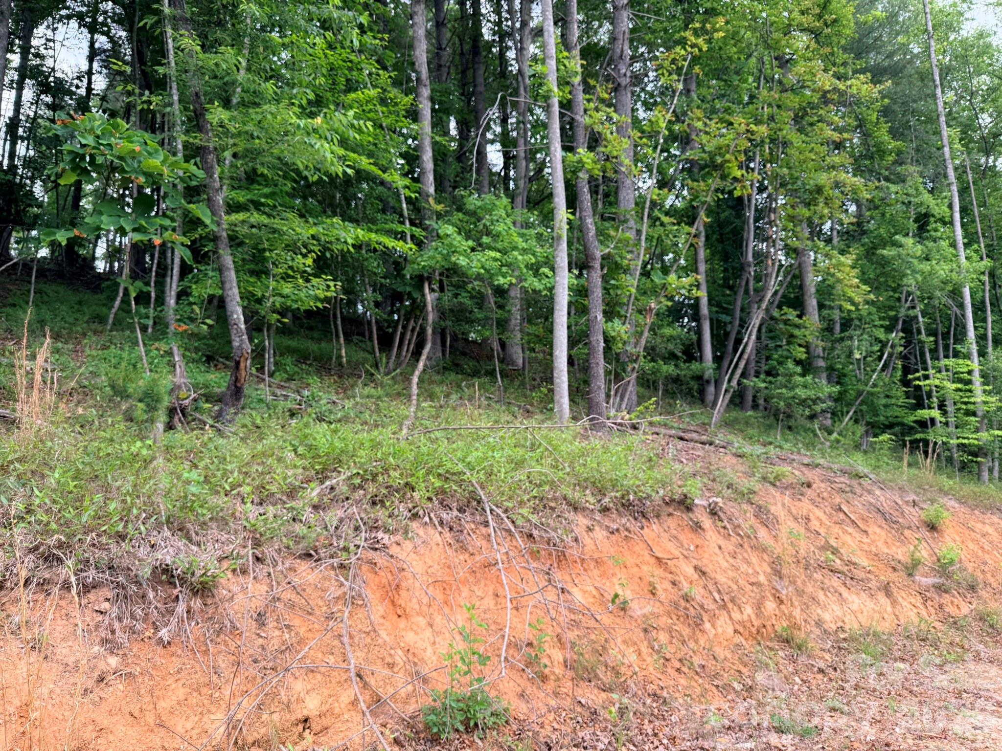 Tbd North Marley Ford Road Ferguson, NC 28624 - Photo 5 of 26