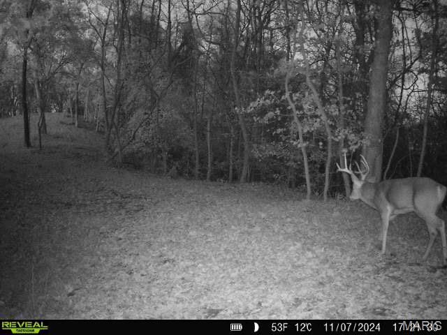 0 Salt Spring Hollow Hardin, IL 62047 - Photo 1 of 68 Gallery Image 1