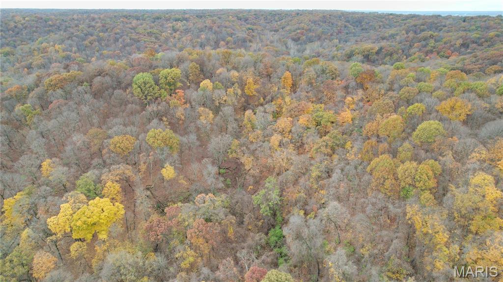 0 Salt Spring Hollow Hardin, IL 62047 - Photo 11 of 68 Gallery Image 11