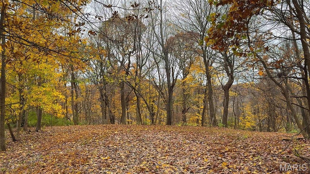0 Salt Spring Hollow Hardin, IL 62047 - Photo 15 of 68 Gallery Image 15