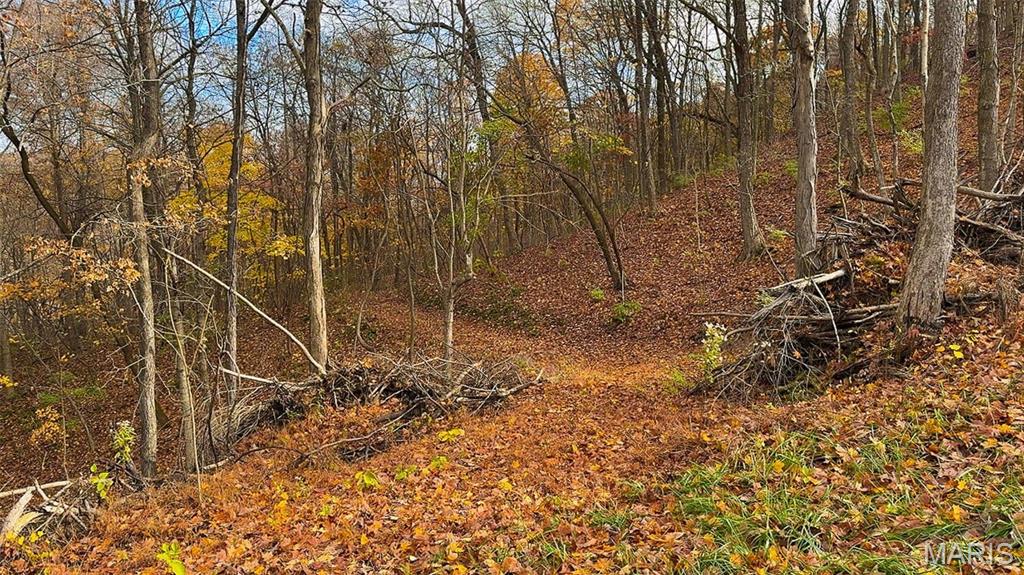 0 Salt Spring Hollow Hardin, IL 62047 - Photo 16 of 68 Gallery Image 16