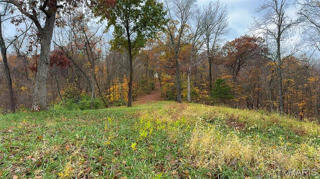 0 Salt Spring Hollow Hardin, IL 62047 - Photo 17 of 68 Gallery Image 17