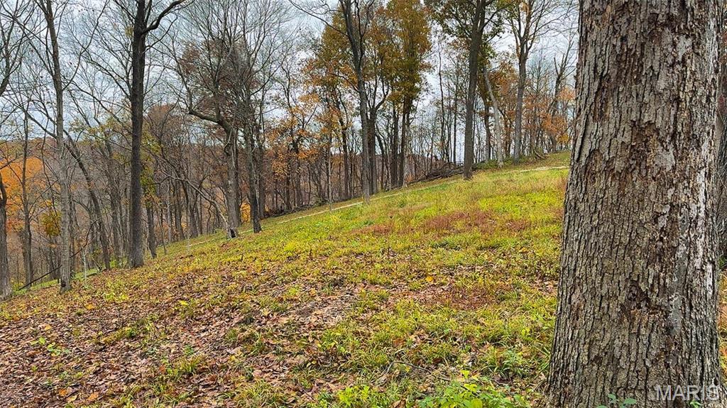 0 Salt Spring Hollow Hardin, IL 62047 - Photo 18 of 68 Gallery Image 18