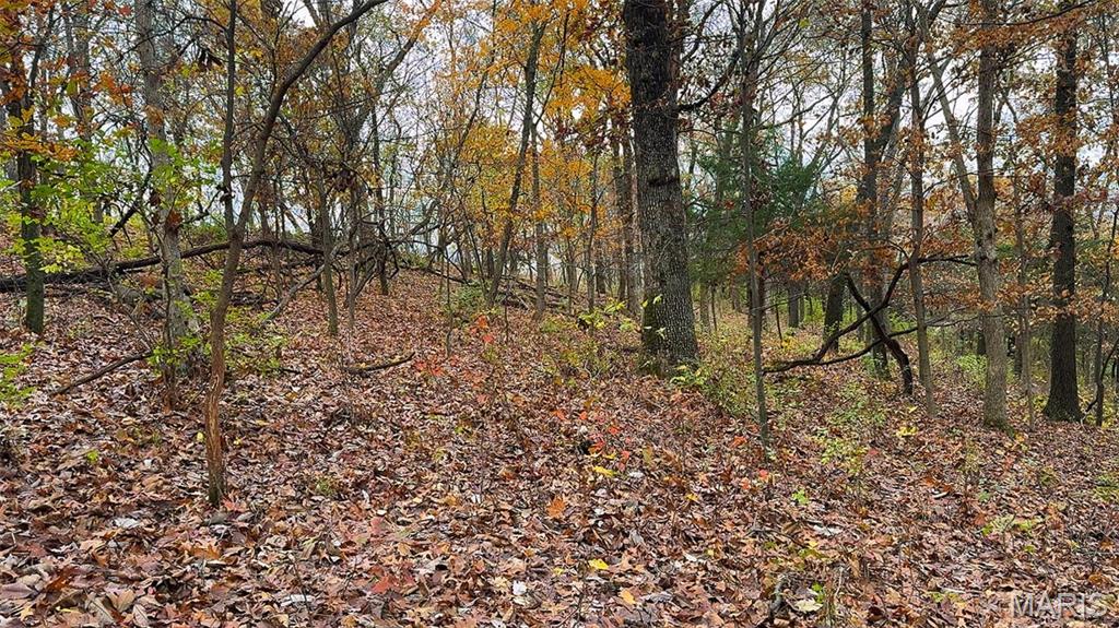 0 Salt Spring Hollow Hardin, IL 62047 - Photo 19 of 68 Gallery Image 19