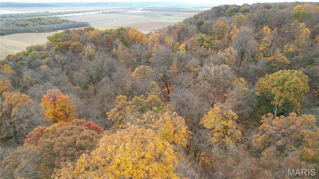 0 Salt Spring Hollow Hardin, IL 62047 - Photo 2 of 68 Gallery Image 2