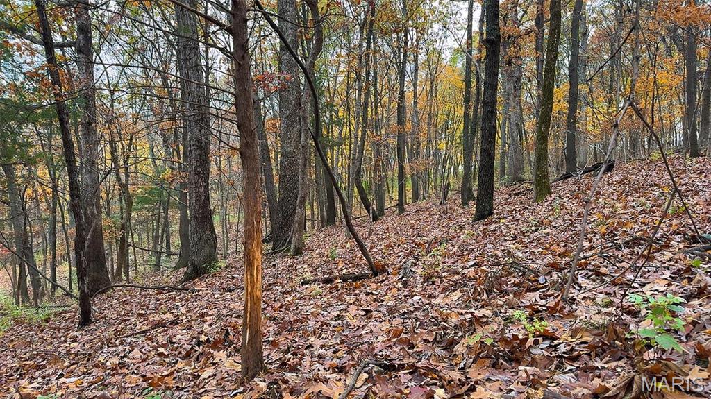 0 Salt Spring Hollow Hardin, IL 62047 - Photo 21 of 68 Gallery Image 21