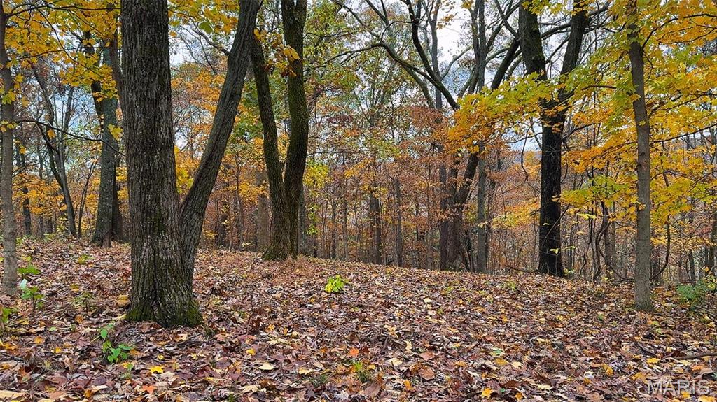 0 Salt Spring Hollow Hardin, IL 62047 - Photo 22 of 68 Gallery Image 22