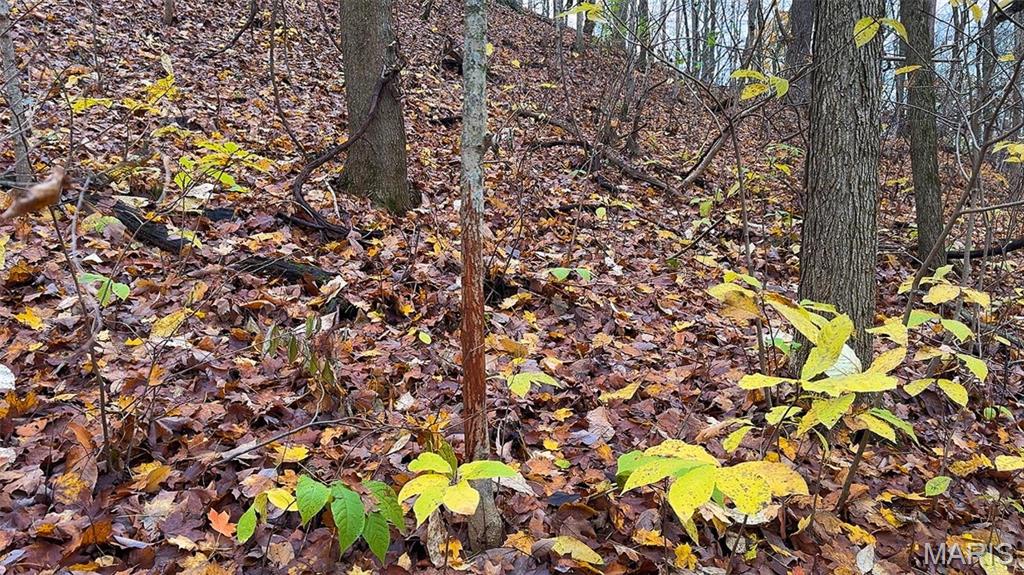 0 Salt Spring Hollow Hardin, IL 62047 - Photo 23 of 68 Gallery Image 23