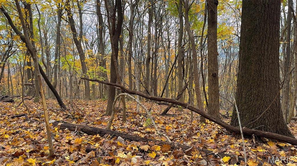 0 Salt Spring Hollow Hardin, IL 62047 - Photo 28 of 68 Gallery Image 28