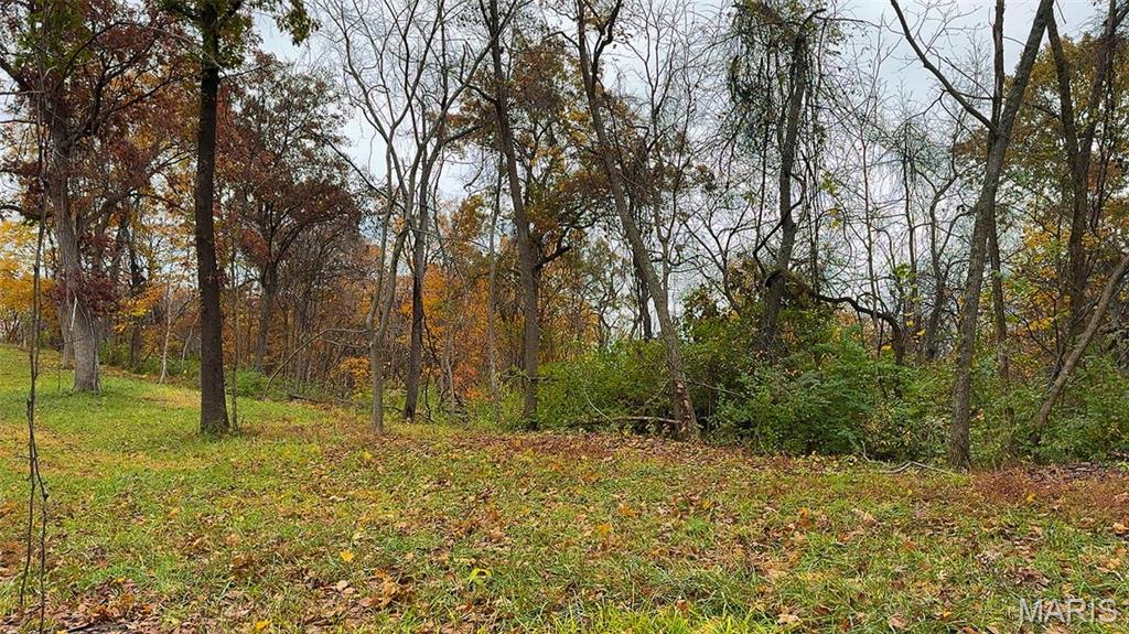 0 Salt Spring Hollow Hardin, IL 62047 - Photo 29 of 68 Gallery Image 29