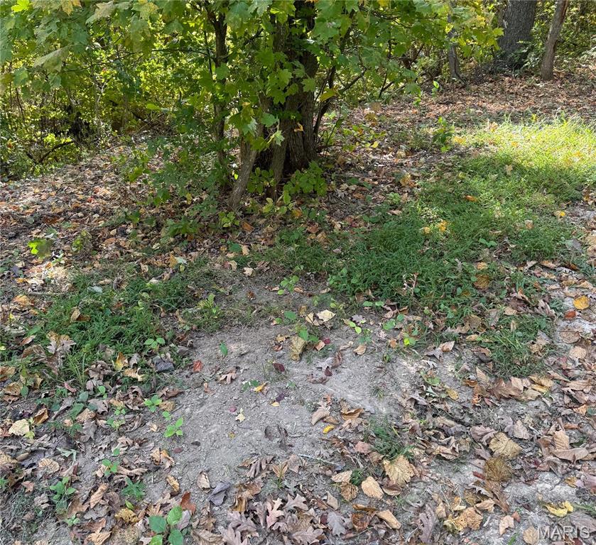 0 Salt Spring Hollow Hardin, IL 62047 - Photo 32 of 68 Gallery Image 32