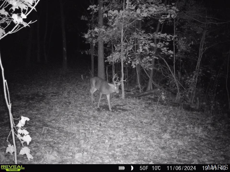 0 Salt Spring Hollow Hardin, IL 62047 - Photo 35 of 68 Gallery Image 35