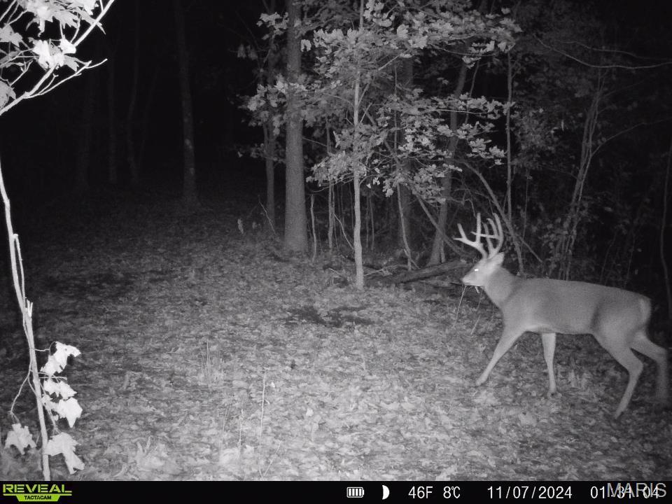 0 Salt Spring Hollow Hardin, IL 62047 - Photo 36 of 68 Gallery Image 36