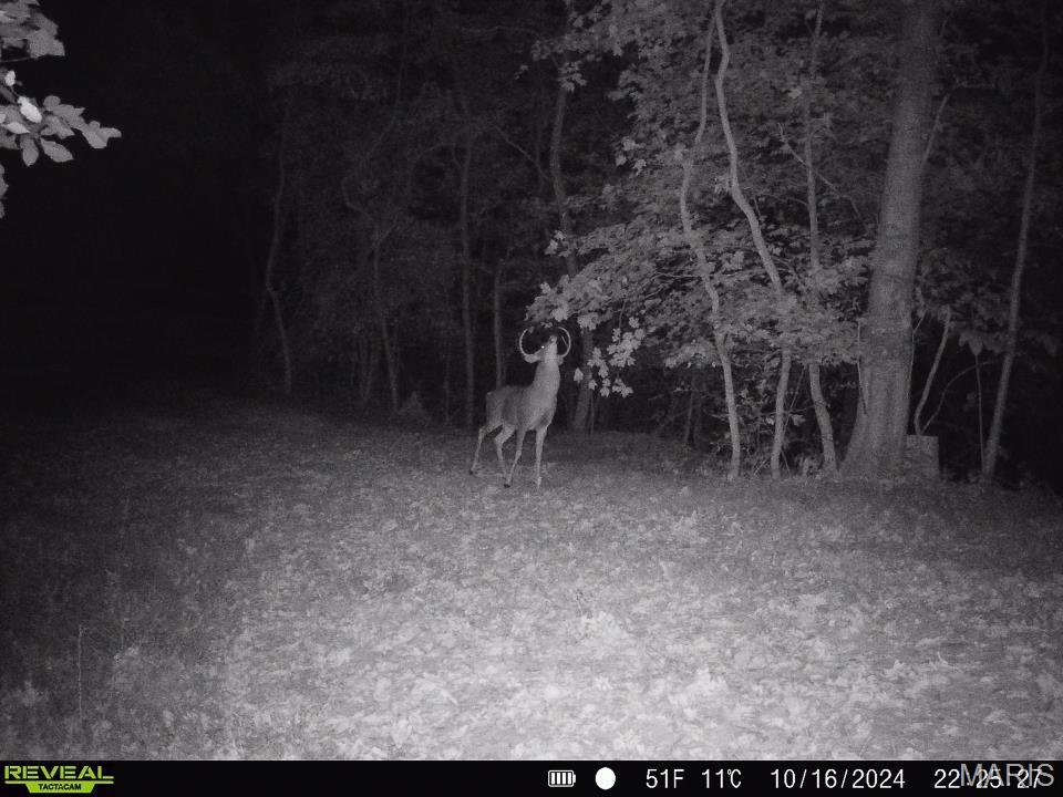 0 Salt Spring Hollow Hardin, IL 62047 - Photo 37 of 68 Gallery Image 37