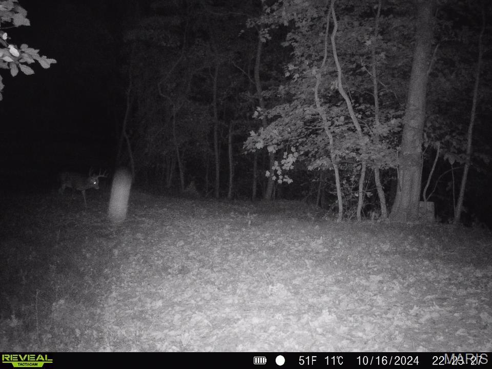 0 Salt Spring Hollow Hardin, IL 62047 - Photo 38 of 68 Gallery Image 38