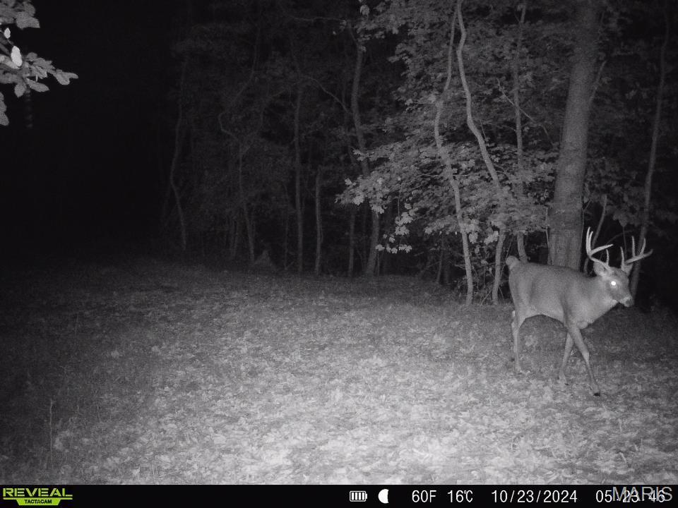 0 Salt Spring Hollow Hardin, IL 62047 - Photo 40 of 68 Gallery Image 40