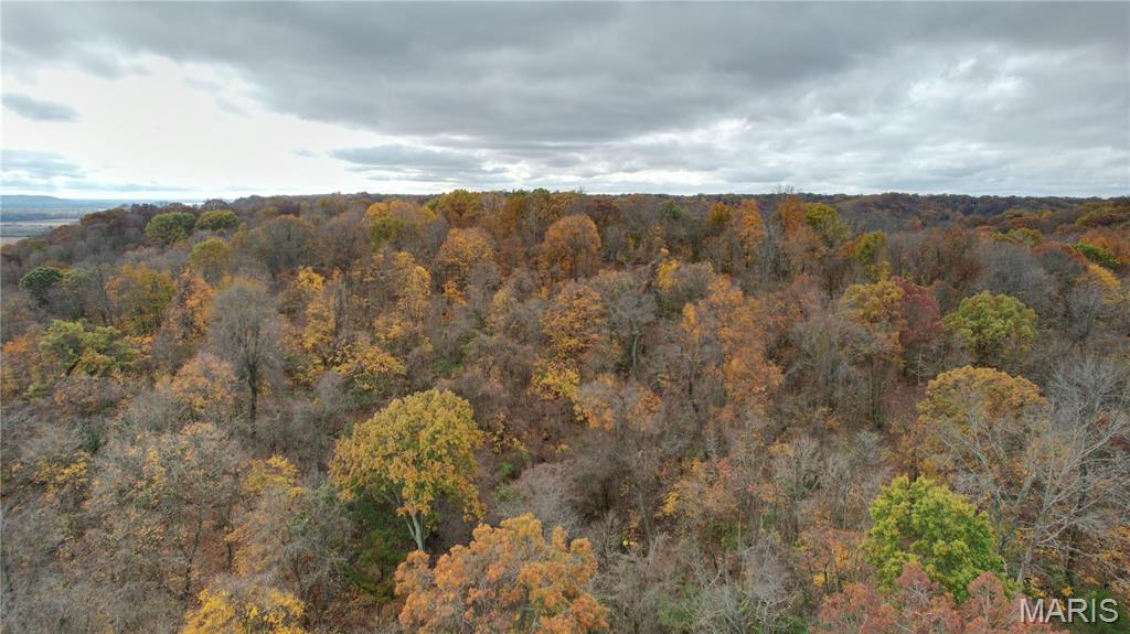 0 Salt Spring Hollow Hardin, IL 62047 - Photo 4 of 68 Gallery Image 4
