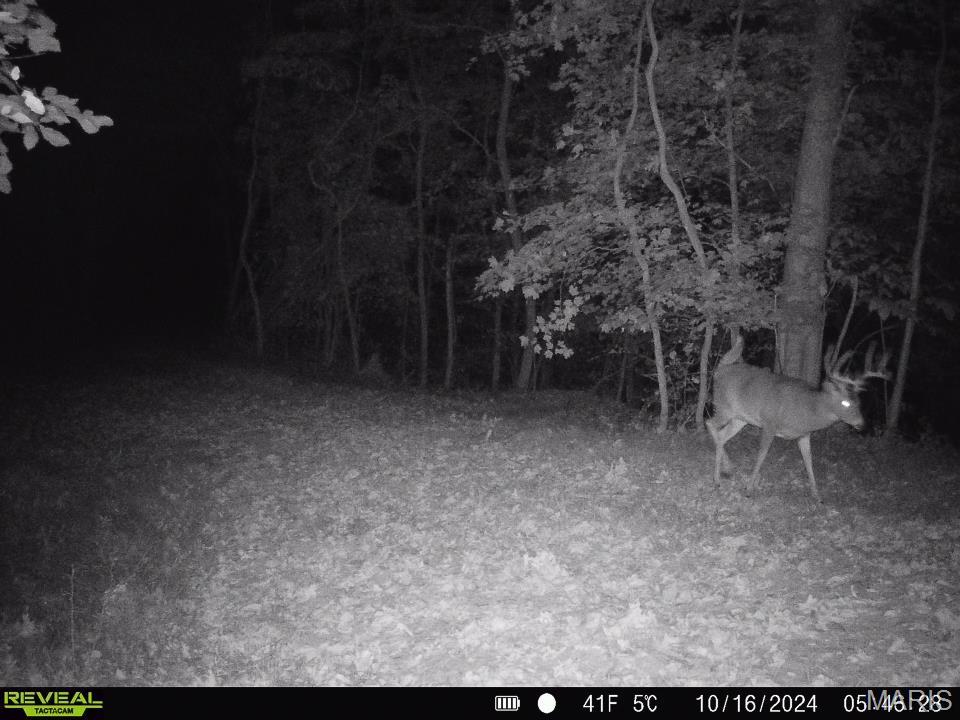 0 Salt Spring Hollow Hardin, IL 62047 - Photo 41 of 68 Gallery Image 41