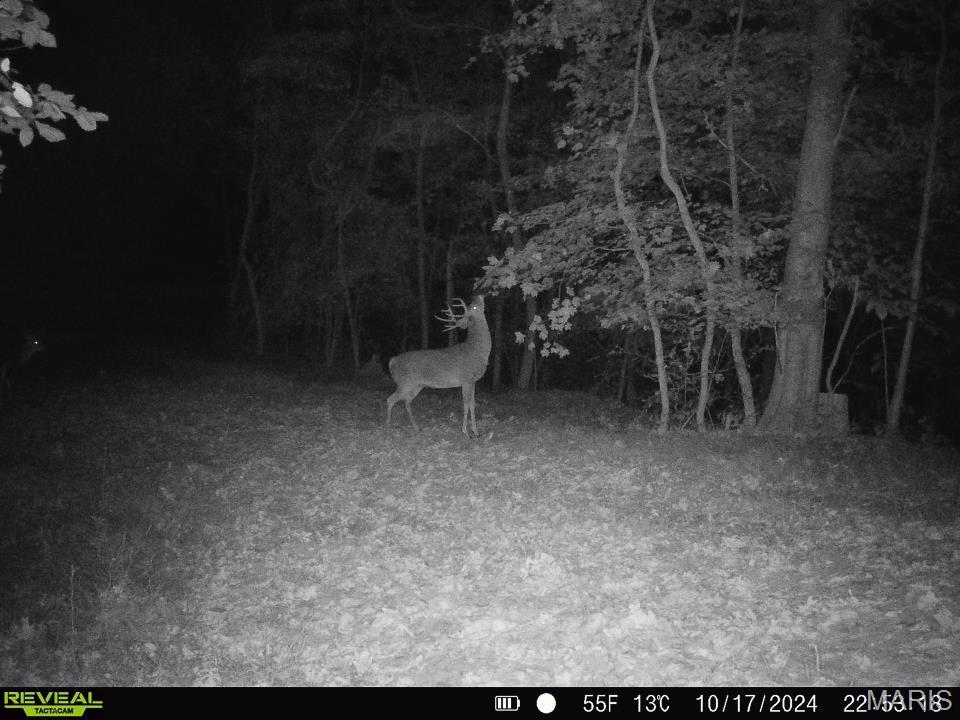 0 Salt Spring Hollow Hardin, IL 62047 - Photo 42 of 68 Gallery Image 42