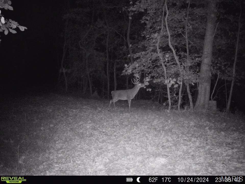 0 Salt Spring Hollow Hardin, IL 62047 - Photo 43 of 68 Gallery Image 43