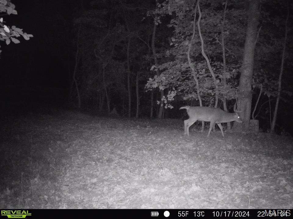 0 Salt Spring Hollow Hardin, IL 62047 - Photo 44 of 68 Gallery Image 44