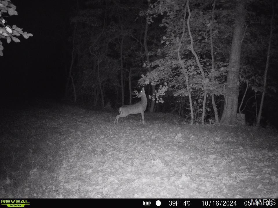 0 Salt Spring Hollow Hardin, IL 62047 - Photo 45 of 68 Gallery Image 45
