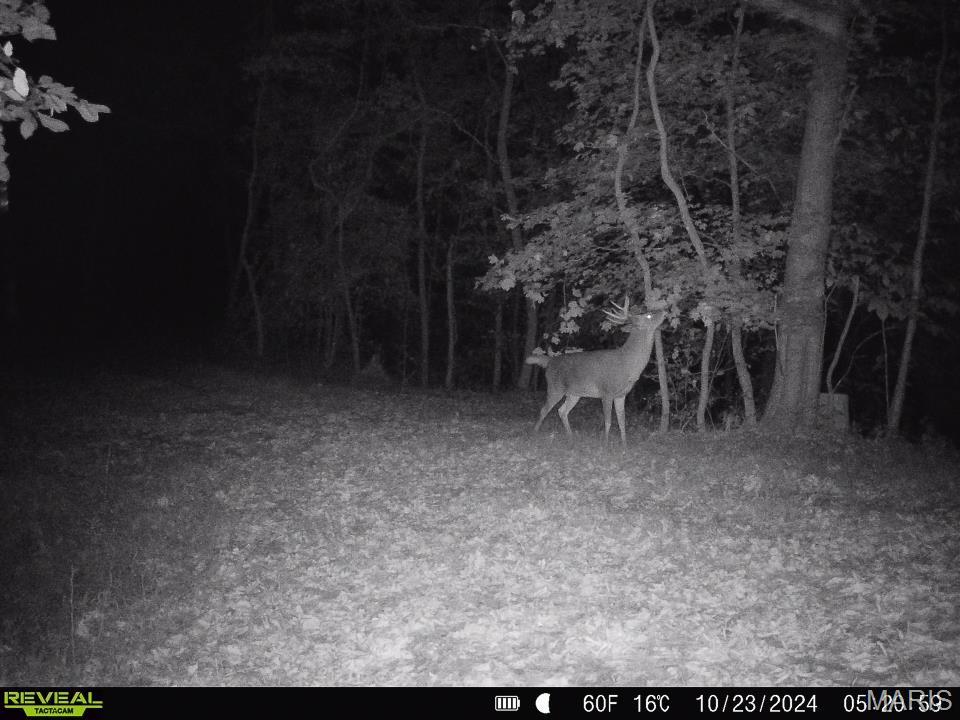 0 Salt Spring Hollow Hardin, IL 62047 - Photo 46 of 68 Gallery Image 46