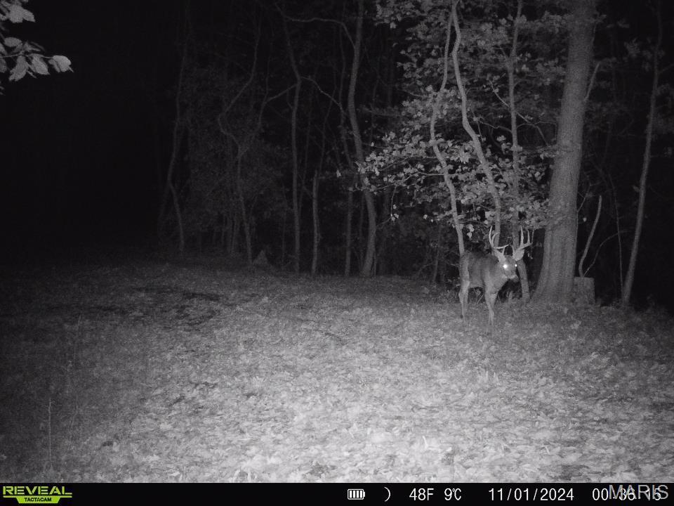 0 Salt Spring Hollow Hardin, IL 62047 - Photo 47 of 68 Gallery Image 47