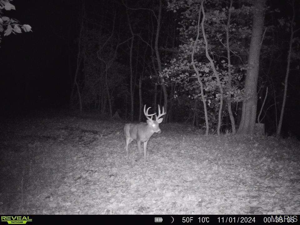 0 Salt Spring Hollow Hardin, IL 62047 - Photo 48 of 68 Gallery Image 48