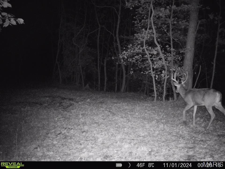 0 Salt Spring Hollow Hardin, IL 62047 - Photo 49 of 68 Gallery Image 49