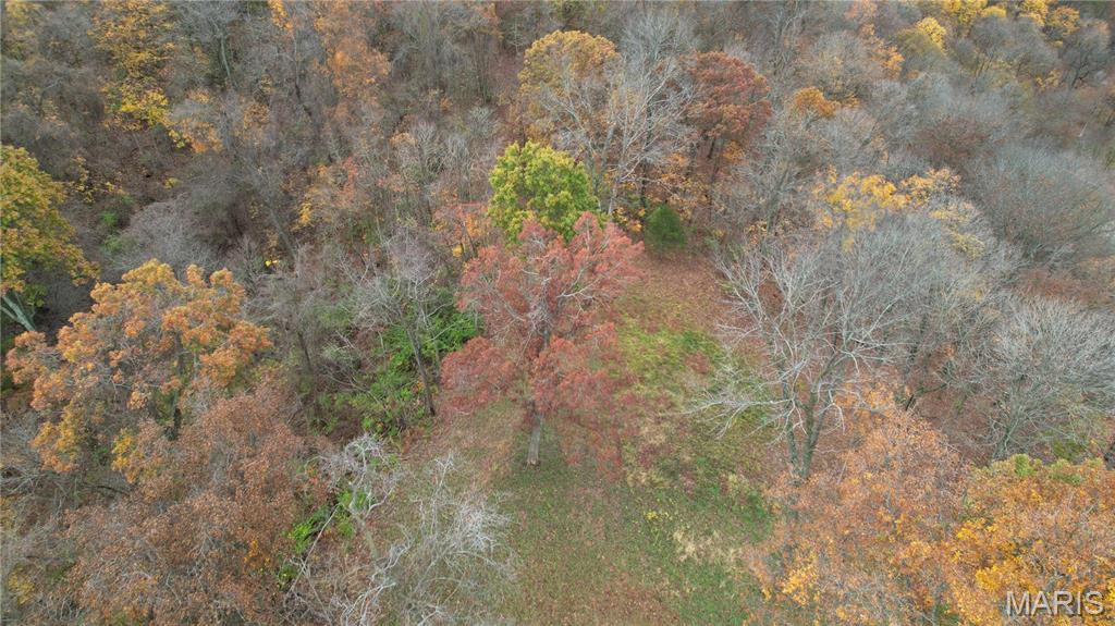 0 Salt Spring Hollow Hardin, IL 62047 - Photo 5 of 68 Gallery Image 5