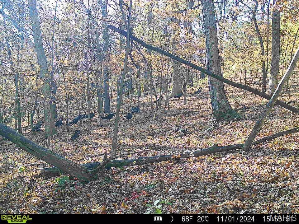 0 Salt Spring Hollow Hardin, IL 62047 - Photo 51 of 68 Gallery Image 51