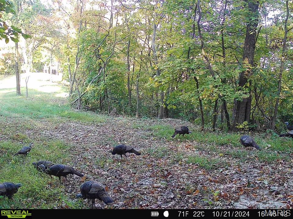 0 Salt Spring Hollow Hardin, IL 62047 - Photo 53 of 68 Gallery Image 53