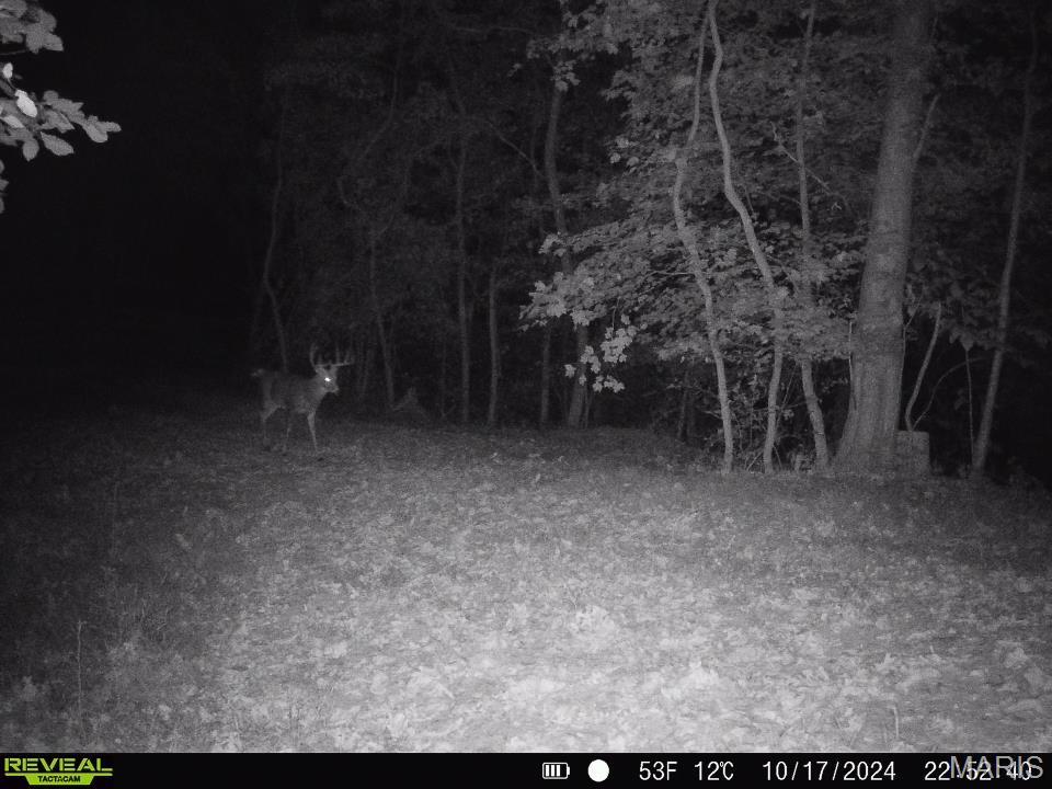 0 Salt Spring Hollow Hardin, IL 62047 - Photo 63 of 68 Gallery Image 63