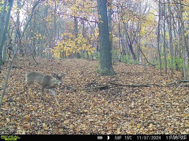 0 Salt Spring Hollow Hardin, IL 62047 - Photo 65 of 68 Gallery Image 65